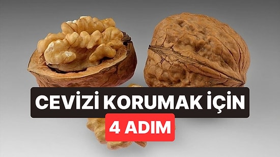 Yıllardır Poşette Saklıyormuşuz: Kabuklu Cevizin Küflenip Acılaşmasının Sebebi Bu Hataymış