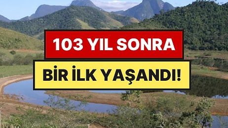 1914'te Yok Olmuştu: 840 Bin Ağaç Dikip İmkansızı Başardılar