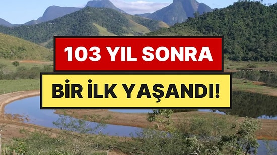 1914'te Yok Olmuştu: 840 Bin Ağaç Dikip İmkansızı Başardılar