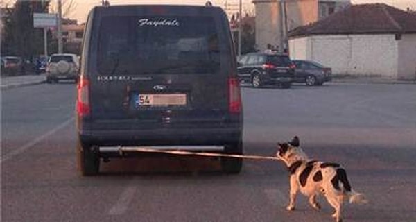 Dünyayı yalnızca kendileri için yaratılmış bir yer olarak görürler.