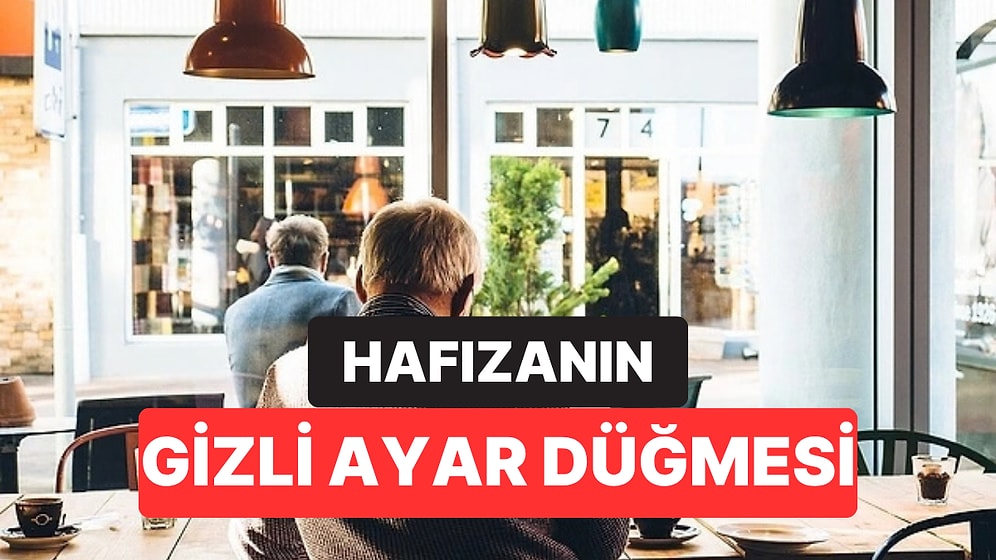 Beynin Eski Anılara Yeni Bilgileri Nasıl Eklediği Ortaya Çıktı: Hafızanın Gizli Ayar Düğmesi Bulundu