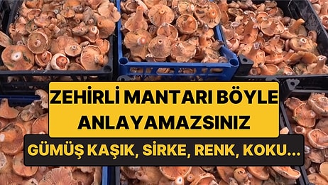 Mantar Zehrini Evde Test Etmenin Bir Yolu Yok! İşte Uzmandan Gümüş Kaşık ve Sirke Uyarısı