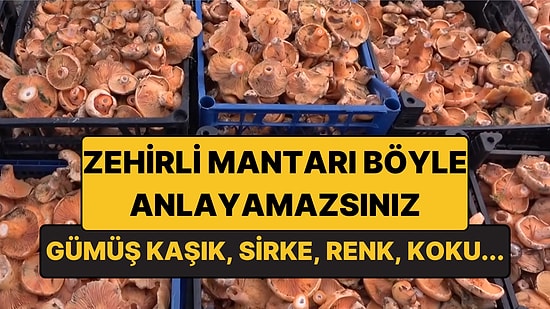 Mantar Zehrini Evde Test Etmenin Bir Yolu Yok! İşte Uzmandan Gümüş Kaşık ve Sirke Uyarısı