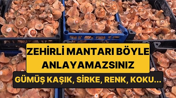 Mantar Zehri Evde Test Edilir mi?