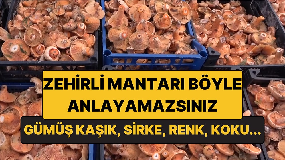 Mantar Zehrini Evde Test Etmenin Bir Yolu Yok! İşte Uzmandan Gümüş Kaşık ve Sirke Uyarısı