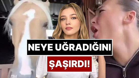 Melisa Döngel Atı Sevmek İstedi, Neye Uğradığını Şaşırdı!