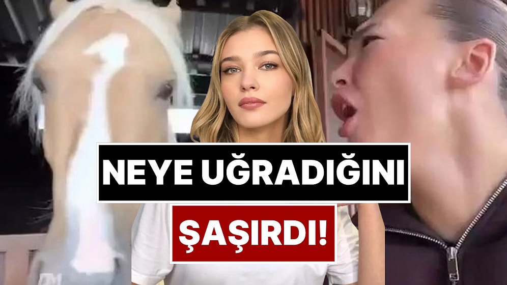 Melisa Döngel Atı Sevmek İstedi, Neye Uğradığını Şaşırdı!