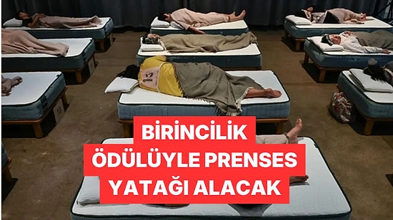 Japonya'da Uyku Yarışması Düzenlendi: Birinci Olan 14 Bin Dolar Kazandı