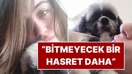 Hazal Kaya'nın 12 Yıllık Can Dostu Köpeği Murphy Hayatını Kaybetti