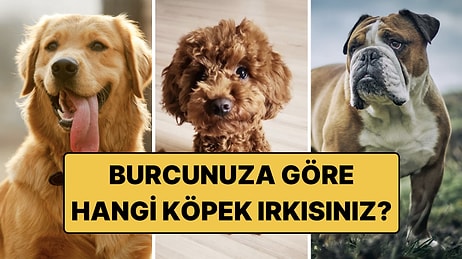 Burcunuza Göre Sizi Yansıtan Köpek Irkı Hangisi? 12 Burç, 12 Sadık Dost