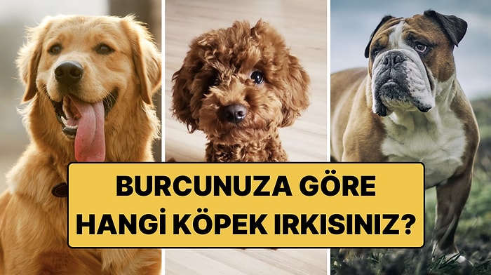 Burcunuza Göre Sizi Yansıtan Köpek Irkı Hangisi? 12 Burç, 12 Sadık Dost