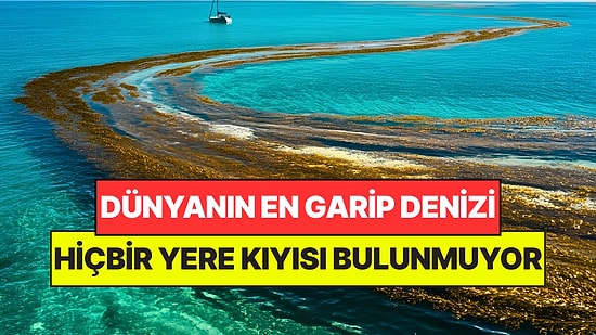 Dünyada Karaya Değmeyen Tek Deniz: Hiçbir Yere Kıyısı Yok