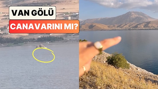 Bir Gezgin Van Gölü'nde İlginç Şekilde Hareket Eden Bir Canlıyı Kaydetti: "Van Gölü Canavarını Çekmişimdir"