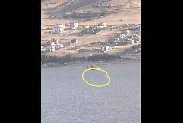 Lake Van, a natural wonder, maintains its mystique not only with its size, but also with its soda-rich water and unique ecosystem. So, where does this narrative of the Lake Van Monster, which has been passed down through the generations, originate?