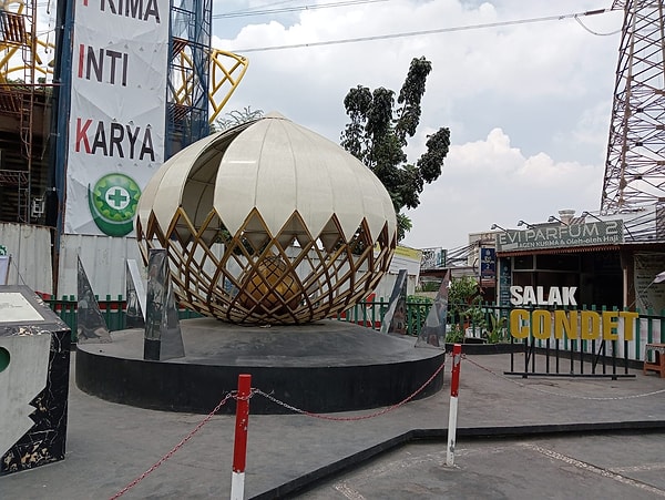 Cakarta'nın Condet bölgesinde yetişen salak, 1989'dan beri kentin resmi simgelerinden biri.