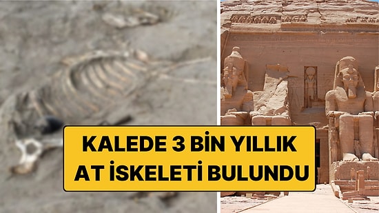 Antik Mısır Kalesinde 3 Bin Yıllık At Mezarı Bulundu