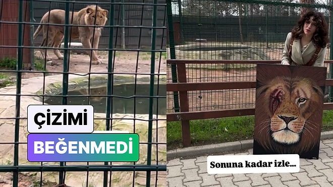 Çizdiği Aslan Portresini Gerçek Aslana Gösteren Ressam Beklemediği Bir Tepkiyle Karşılaştı