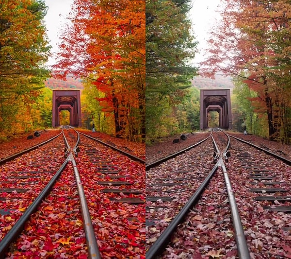 So, how can we create such impressive autumn visuals?