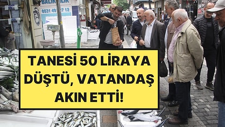 Denizden Fışkırdı, Fiyatı 50 Liraya Düştü: Vatandaş Akın Etti
