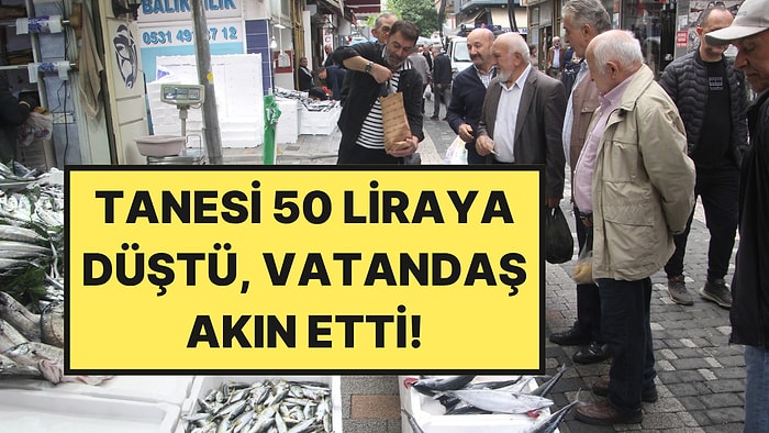 Denizden Fışkırdı, Fiyatı 50 Liraya Düştü: Vatandaş Akın Etti