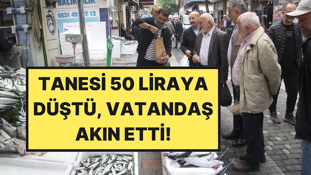 Denizden Fışkırdı, Fiyatı 50 Liraya Düştü: Vatandaş Akın Etti