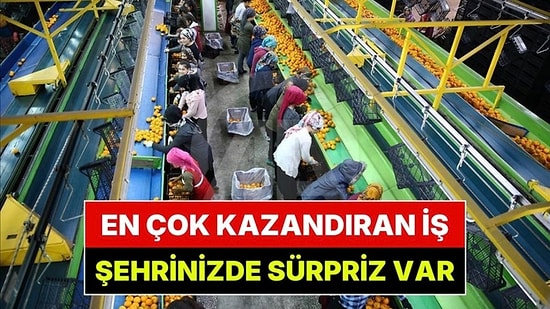 81 İlin En Çok Kazandıran Mesleği Belli Oldu: İl İ Kazandıran Meslekler