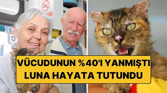 Orman Yangınında Vücudunun Yüzde 40'ı Yanmıştı: Luna Ailesine Kavuştu