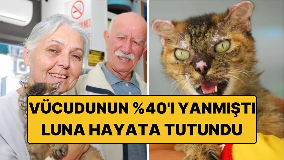 Orman Yangınında Vücudunun Yüzde 40'ı Yanmıştı: Luna Ailesine Kavuştu