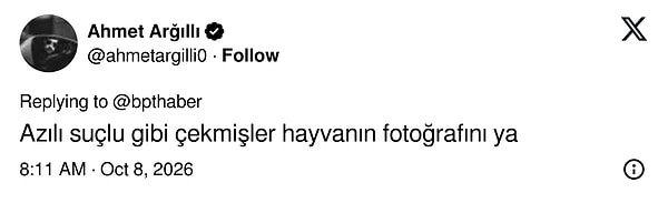 Maymunun fotoğrafını azılı bir suçlu pozunda çekmişler