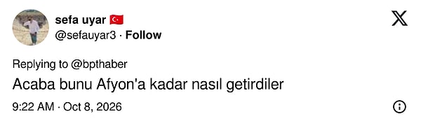 Asıl merak edilen, maymunun Afyon'a nasıl getirildiği