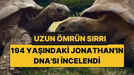194 Yaşındaki Kaplumbağanın DNA'sı İncelendi: Uzun Ömrün Sırrı