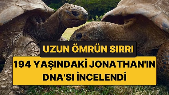 194 Yaşındaki Kaplumbağanın DNA'sı İncelendi: Uzun Ömrün Sırrı