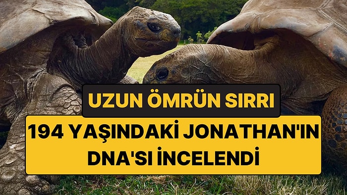 194 Yaşındaki Kaplumbağanın DNA'sı İncelendi: Uzun Ömrün Sırrı