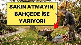 Dökülen Yaprakları Sakın Atmayın: Bahçenin Toprağını Bedavaya İyileştiriyor