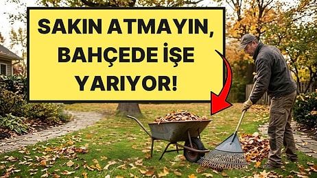 Dökülen Yaprakları Sakın Atmayın: Bahçenin Toprağını Bedavaya İyileştiriyor