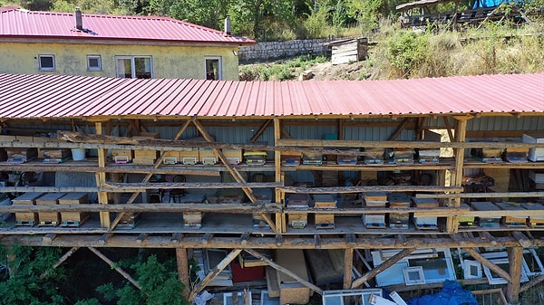 Kekik, geven ve ıhlamur gibi endemik bitkilerden toplanan bal, yılda yaklaşık 600 kilograma ulaşıyor.