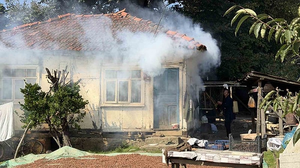 İlaçlama Yetmedi, Böcekler Evleri Sardı