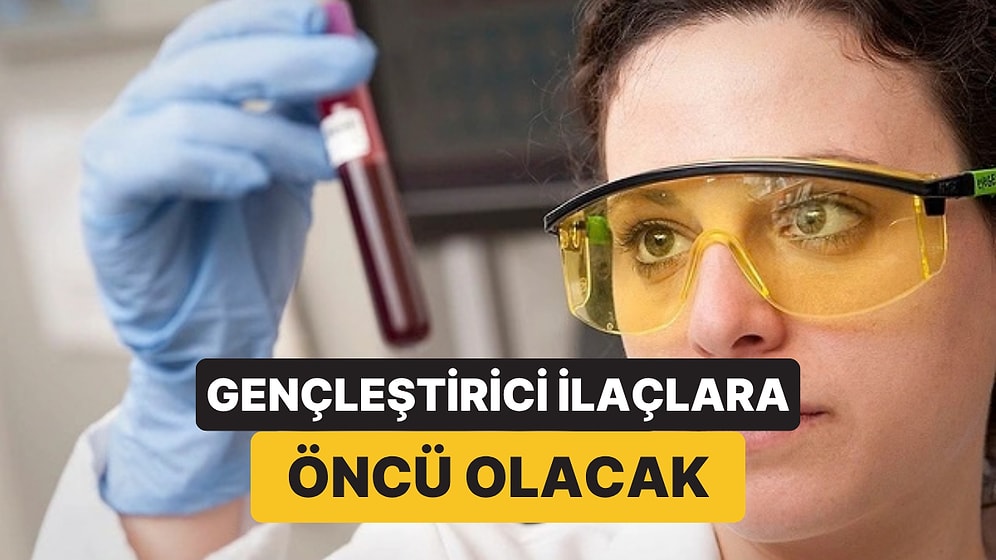 Kan Kök Hücrelerindeki Yaşlanmayı Saptayan Yapay Zeka Geliştirildi: Gençleştirici İlaçların Önü Açılabilir