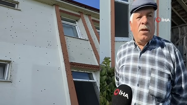 Çare Kümeste Arandı: Hindiler, Tavuklar Devrede