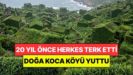 Denizin Ortasındaki Köyü Herkes Terk Etti: 20 Yılda Doğa Evleri Ele Geçirdi