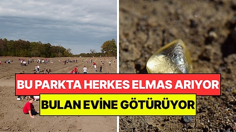 Bulan Evine Götürüyor: Bu Parkta Yıllardır Herkes Didik Didik Elmas Arıyor