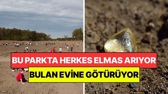 Bulan Evine Götürüyor: Bu Parkta Yıllardır Herkes Didik Didik Elmas Arıyor