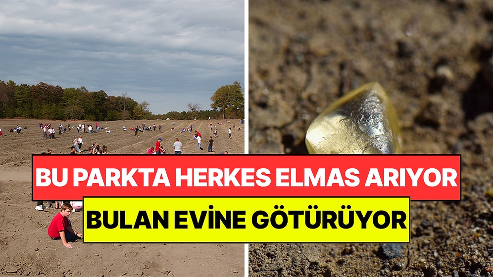 Bulan Evine Götürüyor: Bu Parkta Yıllardır Herkes Didik Didik Elmas Arıyor