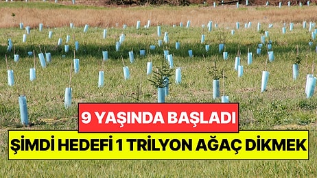 9 Yaşında Okul Bahçesine Ağaç Dikti: Aradan 20 Yıl Geçti, Şimdi 1 Trilyon Ağaç Hedefliyor