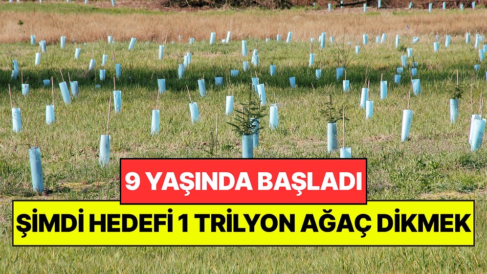 9 Yaşında Okul Bahçesine Ağaç Dikti: Aradan 20 Yıl Geçti, Şimdi 1 Trilyon Ağaç Hedefliyor