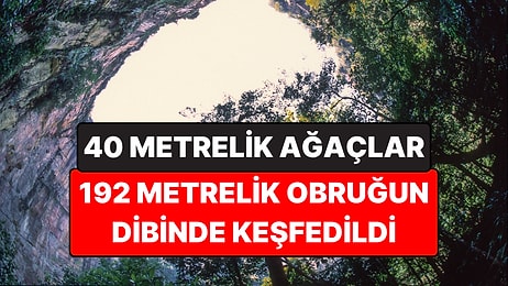 Yerin 192 Metre Altında Saklı Orman: Obruğun Dibinde 40 Metrelik Ağaçlar Var