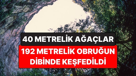 Yerin 192 Metre Altında Saklı Orman: Obruğun Dibinde 40 Metrelik Ağaçlar Var