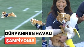 ABD'deki Köpek Koşu Yarışını Kazanan Patili Rakiplerine Attığı Bakışlarla Güldürdü