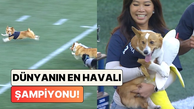 ABD'deki Köpek Koşu Yarışını Kazanan Patili Rakiplerine Attığı Bakışlarla Güldürdü