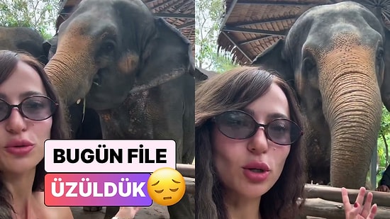 Tayland'da Sirkten Gelen Bir Fille Karşılaşan İçerik Üreticisi Filin Hikayesini Paylaştı